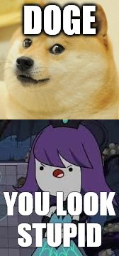 DOGE; YOU LOOK STUPID | image tagged in doge | made w/ Imgflip meme maker