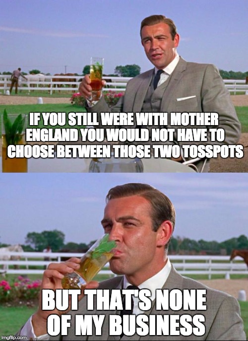 Sean Connery on the american elections | IF YOU STILL WERE WITH MOTHER ENGLAND YOU WOULD NOT HAVE TO CHOOSE BETWEEN THOSE TWO TOSSPOTS; BUT THAT'S NONE OF MY BUSINESS | image tagged in sean | made w/ Imgflip meme maker