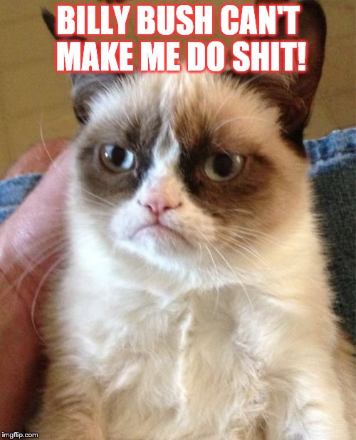 Grumpy Cat Meme | BILLY BUSH CAN'T MAKE ME DO SHIT! | image tagged in memes,grumpy cat | made w/ Imgflip meme maker