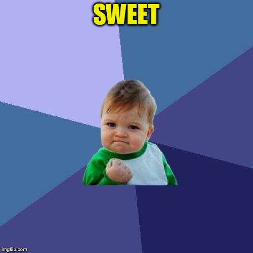 Success Kid Meme | SWEET | image tagged in memes,success kid | made w/ Imgflip meme maker