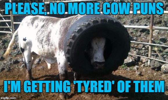 PLEASE, NO MORE COW PUNS I'M GETTING 'TYRED' OF THEM | made w/ Imgflip meme maker