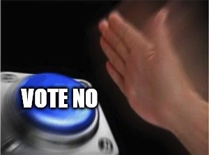 Blank Nut Button Meme | VOTE NO | image tagged in blank nut button | made w/ Imgflip meme maker