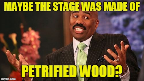 MAYBE THE STAGE WAS MADE OF PETRIFIED WOOD? | image tagged in memes,steve harvey | made w/ Imgflip meme maker