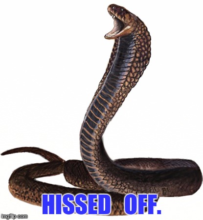 HISSED   OFF. | image tagged in deleted,expletive | made w/ Imgflip meme maker