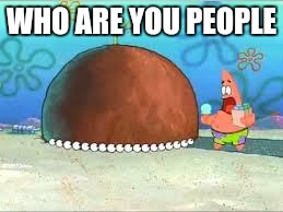 WHO ARE YOU PEOPLE? | WHO ARE YOU PEOPLE | image tagged in who are you people | made w/ Imgflip meme maker