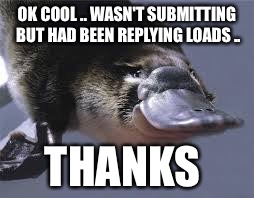 Platypus  | OK COOL .. WASN'T SUBMITTING BUT HAD BEEN REPLYING LOADS .. THANKS | image tagged in platypus | made w/ Imgflip meme maker