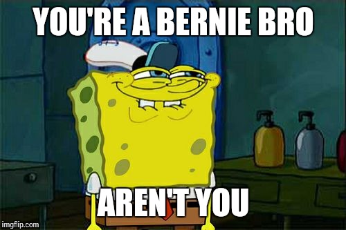 Don't You Squidward Meme | YOU'RE A BERNIE BRO AREN'T YOU | image tagged in memes,dont you squidward | made w/ Imgflip meme maker