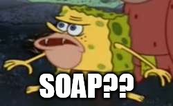 Heavy Duty or Fresh Scent? | SOAP?? | image tagged in memes,spongegar | made w/ Imgflip meme maker