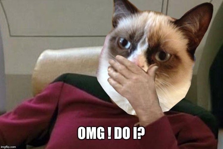 Grumpy cat Picard facepalm  | OMG ! DO I? | image tagged in grumpy cat picard facepalm | made w/ Imgflip meme maker