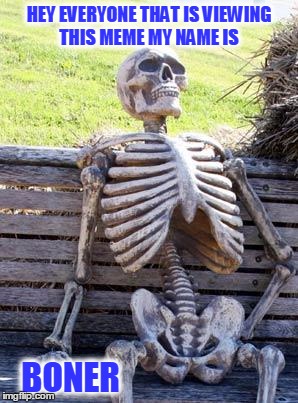 Waiting Skeleton Meme | HEY EVERYONE THAT IS VIEWING THIS MEME MY NAME IS; BONER | image tagged in memes,waiting skeleton | made w/ Imgflip meme maker