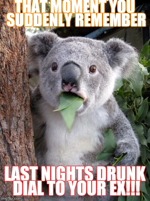 Surprised Koala | THAT MOMENT YOU SUDDENLY REMEMBER; LAST NIGHTS DRUNK DIAL TO YOUR EX!!! | image tagged in memes,surprised koala | made w/ Imgflip meme maker
