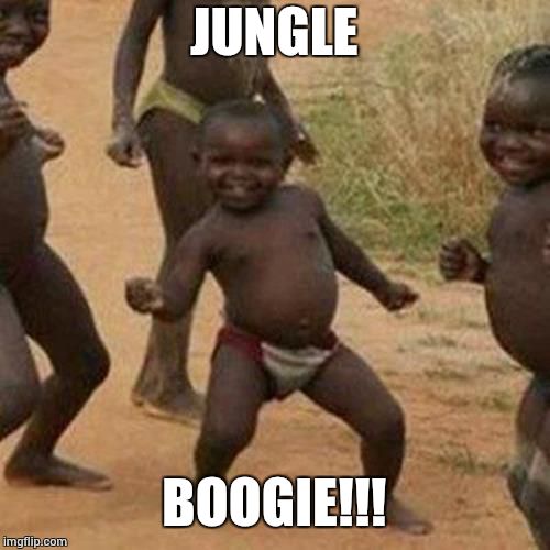 Third World Success Kid Meme | JUNGLE; BOOGIE!!! | image tagged in memes,third world success kid | made w/ Imgflip meme maker