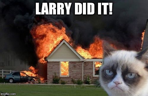 Burn Kitty | LARRY DID IT! | image tagged in memes,burn kitty | made w/ Imgflip meme maker