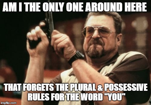 AM I THE ONLY ONE AROUND HERE THAT FORGETS THE PLURAL & POSSESSIVE RULES FOR THE WORD "YOU" | image tagged in memes,am i the only one around here | made w/ Imgflip meme maker