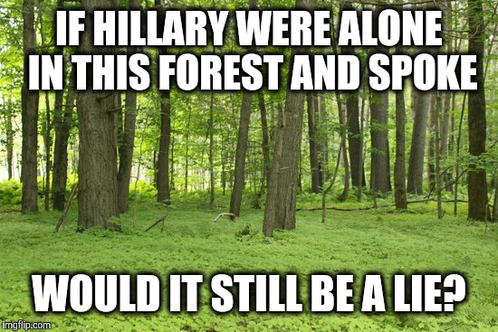 shhh | IF HILLARY WERE ALONE IN THIS FOREST AND SPOKE; WOULD IT STILL BE A LIE? | image tagged in politics | made w/ Imgflip meme maker