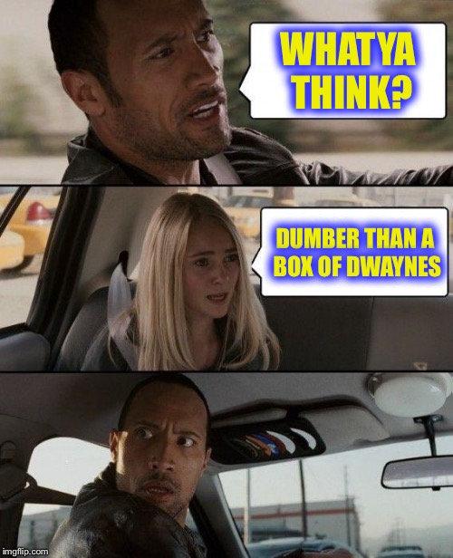 The Rock Driving Meme | WHATYA THINK? DUMBER THAN A BOX OF DWAYNES | image tagged in memes,the rock driving | made w/ Imgflip meme maker