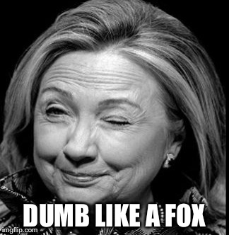 DUMB LIKE A FOX | made w/ Imgflip meme maker