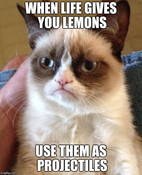Grumpy Cat Meme |  WHEN LIFE GIVES YOU LEMONS; USE THEM AS PROJECTILES | image tagged in memes,grumpy cat | made w/ Imgflip meme maker
