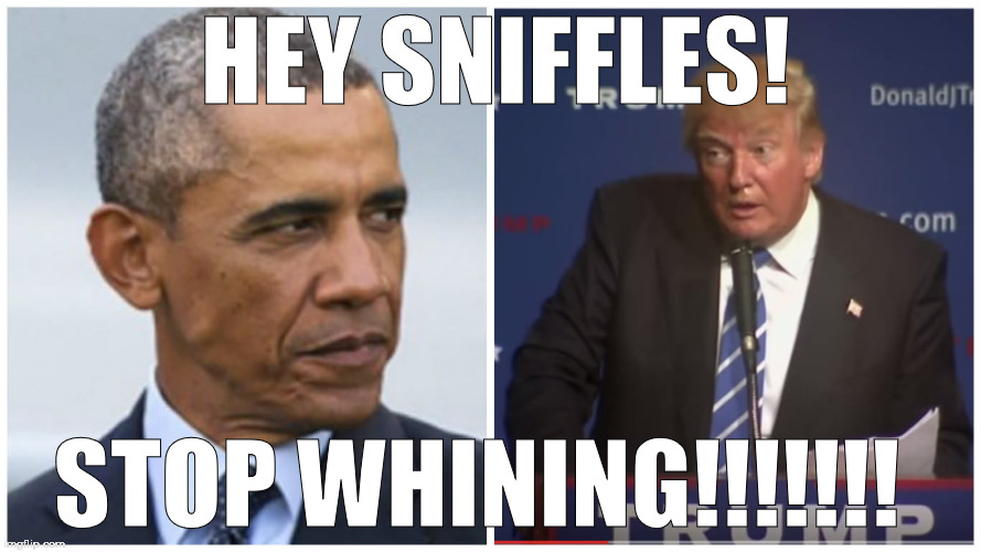 Obama-trump | HEY SNIFFLES! STOP WHINING!!!!!!! | image tagged in obama-trump | made w/ Imgflip meme maker