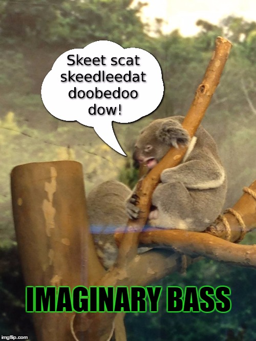 Koolala | IMAGINARY BASS | image tagged in koala,jazz,memes,animal meme,funny,music | made w/ Imgflip meme maker