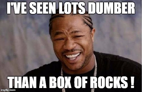 Yo Dawg Heard You Meme | I'VE SEEN LOTS DUMBER; THAN A BOX OF ROCKS ! | image tagged in memes,yo dawg heard you | made w/ Imgflip meme maker