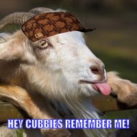 HEY CUBBIES REMEMBER ME! | image tagged in cub goat,scumbag | made w/ Imgflip meme maker