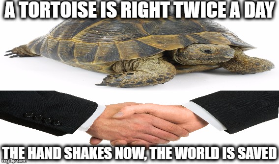 impractical jokers | A TORTOISE IS RIGHT TWICE A DAY; THE HAND SHAKES NOW, THE WORLD IS SAVED | image tagged in funny,tortoise,handshake,impracticaljokers | made w/ Imgflip meme maker