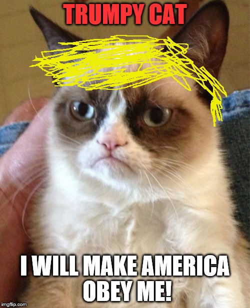 The way I see Donald Trump | TRUMPY CAT; I WILL MAKE AMERICA OBEY ME! | image tagged in memes,grumpy cat | made w/ Imgflip meme maker