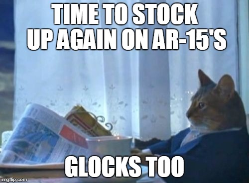 IN ANTICIPATION OF THE RUN THAT IS ABOUT TO HAPPEN | TIME TO STOCK UP AGAIN ON AR-15'S; GLOCKS TOO | image tagged in memes,i should buy a boat cat,cats with guns,election 2016,assault weapons | made w/ Imgflip meme maker