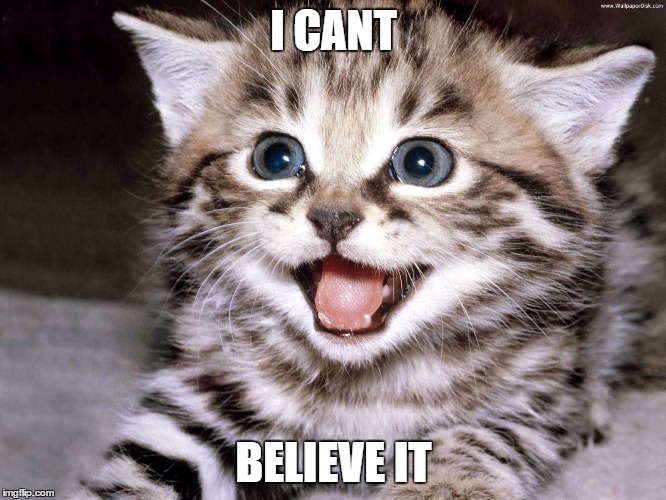 I CANT; BELIEVE IT | made w/ Imgflip meme maker
