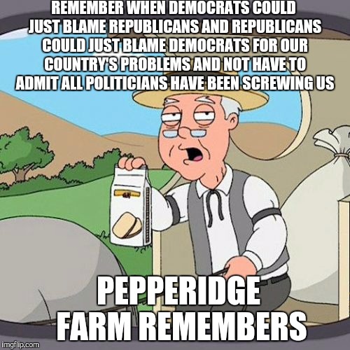 Pepperidge Farm Remembers | REMEMBER WHEN DEMOCRATS COULD JUST BLAME REPUBLICANS AND REPUBLICANS COULD JUST BLAME DEMOCRATS FOR OUR COUNTRY'S PROBLEMS AND NOT HAVE TO ADMIT ALL POLITICIANS HAVE BEEN SCREWING US; PEPPERIDGE FARM REMEMBERS | image tagged in memes,pepperidge farm remembers | made w/ Imgflip meme maker