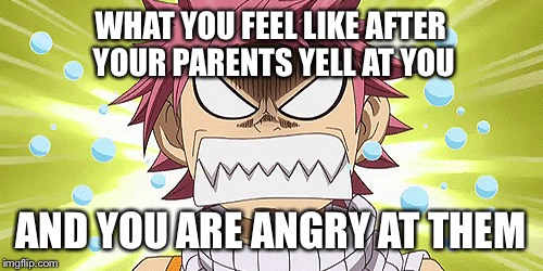WHAT YOU FEEL LIKE AFTER YOUR PARENTS YELL AT YOU; AND YOU ARE ANGRY AT THEM | image tagged in natsu fairytail | made w/ Imgflip meme maker