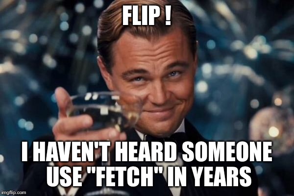 Leonardo Dicaprio Cheers Meme | FLIP ! I HAVEN'T HEARD SOMEONE USE "FETCH" IN YEARS | image tagged in memes,leonardo dicaprio cheers | made w/ Imgflip meme maker