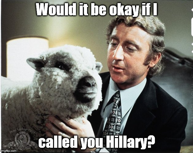 Baaa | Would it be okay if I called you Hillary? | image tagged in baaa | made w/ Imgflip meme maker