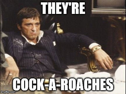 THEY'RE COCK-A-ROACHES | made w/ Imgflip meme maker