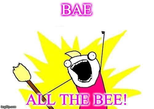 X All The Y | BAE; ALL THE BEE! | image tagged in memes,x all the y | made w/ Imgflip meme maker