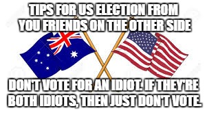 TIPS FOR US ELECTION FROM YOU FRIENDS ON THE OTHER SIDE; DON'T VOTE FOR AN IDIOT. IF THEY'RE BOTH IDIOTS, THEN JUST DON'T VOTE. | image tagged in voting tips | made w/ Imgflip meme maker