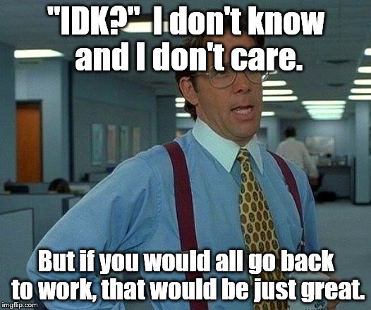 Search for the meaning of life. Or IDK," whichever comes first. | "IDK?"  I don't know and I don't care. But if you would all go back to work, that would be just great. | image tagged in memes,that would be great | made w/ Imgflip meme maker