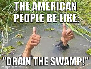#draintheswamp | THE AMERICAN PEOPLE BE LIKE:; "DRAIN THE SWAMP!" | image tagged in flooding thumbs up,memes,donald trump approves,drain the swamp,hillary clinton for prison hospital 2016,government corruption | made w/ Imgflip meme maker