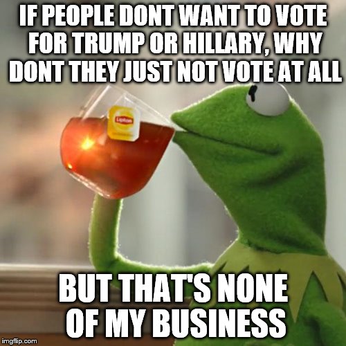 But That's None Of My Business | IF PEOPLE DONT WANT TO VOTE FOR TRUMP OR HILLARY, WHY DONT THEY JUST NOT VOTE AT ALL; BUT THAT'S NONE OF MY BUSINESS | image tagged in memes,but thats none of my business,kermit the frog | made w/ Imgflip meme maker