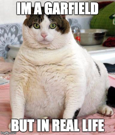 Food, I luv FOOD | IM A GARFIELD; BUT IN REAL LIFE | image tagged in garfield | made w/ Imgflip meme maker