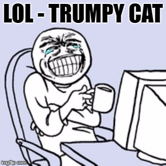 LOL - TRUMPY CAT | made w/ Imgflip meme maker