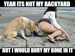 Like the sand in our eyes..so are the days of our lives | YEAH ITS NOT MY BACKYARD BUT I WOULD BURY MY BONE IN IT | image tagged in memes,dog,beach,pussy,romantic | made w/ Imgflip meme maker