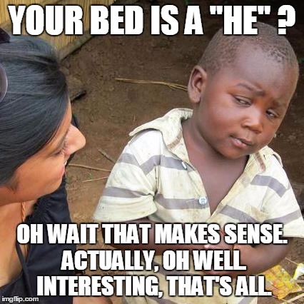 Third World Skeptical Kid Meme | YOUR BED IS A "HE" ? OH WAIT THAT MAKES SENSE. ACTUALLY, OH WELL. INTERESTING, THAT'S ALL. | image tagged in memes,third world skeptical kid | made w/ Imgflip meme maker