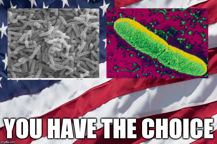 Election day | YOU HAVE THE CHOICE | image tagged in election 2016,plague,cholera,trump,clinton | made w/ Imgflip meme maker