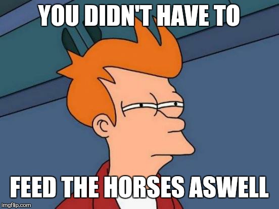 Futurama Fry Meme | YOU DIDN'T HAVE TO FEED THE HORSES ASWELL | image tagged in memes,futurama fry | made w/ Imgflip meme maker