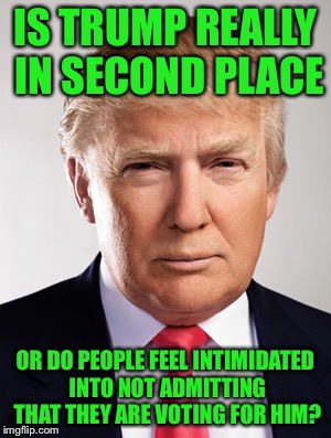 Do you trust the polls? |  IS TRUMP REALLY IN SECOND PLACE; OR DO PEOPLE FEEL INTIMIDATED INTO NOT ADMITTING THAT THEY ARE VOTING FOR HIM? | image tagged in donald trump | made w/ Imgflip meme maker