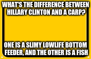 Blank Yellow Sign Meme | WHAT'S THE DIFFERENCE BETWEEN HILLARY CLINTON AND A CARP? ONE IS A SLIMY LOWLIFE BOTTOM FEEDER, AND THE OTHER IS A FISH | image tagged in memes,blank yellow sign | made w/ Imgflip meme maker