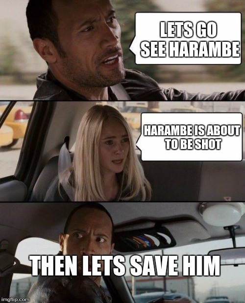 saveharambe | LETS GO SEE HARAMBE; HARAMBE IS ABOUT TO BE SHOT; THEN LETS SAVE HIM | image tagged in memes,the rock driving,harambe | made w/ Imgflip meme maker