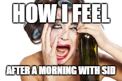 how a morning with my kid feels | HOW I FEEL; AFTER A MORNING WITH SID | image tagged in how i feel | made w/ Imgflip meme maker